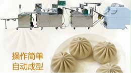 包子机都能做什么？包子机都能做什么馅料的包子？